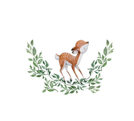 Baby Deer