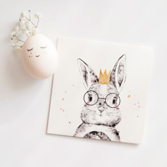 Opakowanie na DVD Bunny - 4