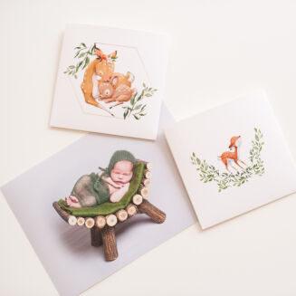 Opakowanie na DVD Baby Deer - 2