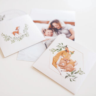 Opakowanie na DVD Baby Deer - 3