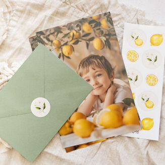 Naklejki lemon 098 - 3