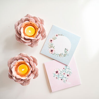 DVD envelope Spring